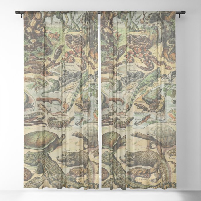 Reptiles by Adolphe Millot Sheer Curtain