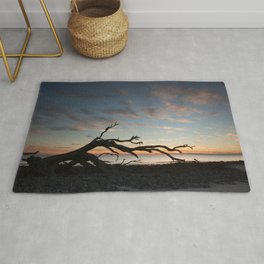 Driftwood against the Sunrise Rug | Digital, Photo, Morning, Early, Natural, Outdoors, Island, Driftwood, Sky, Color 