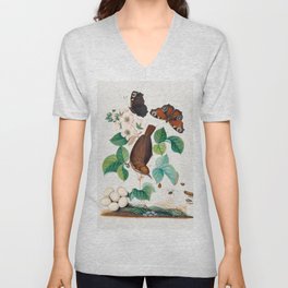 House wren and eggs, Peacock butterflies, butterfly chrysalis, larva caterpillar, daddy longlegs spider and snout beetle from the Natural History Cabinet of Anna Blackburne V Neck T Shirt