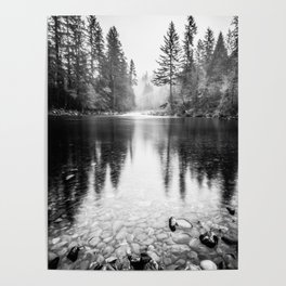 Forest Reflection Lake - Black and White  - Nature Photography Poster
