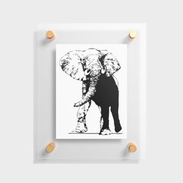 Elephant - M Floating Acrylic Print