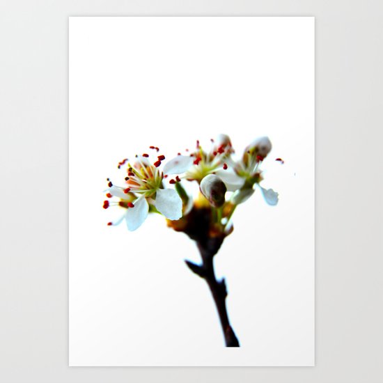 I Can See Clearly Art Print