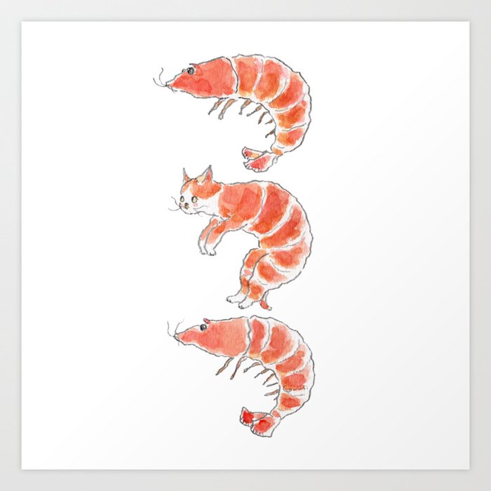ShrimpCat Art Print