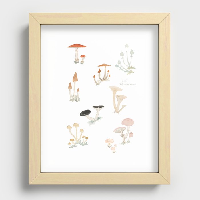 Sketchbook Mushrooms Recessed Framed Print