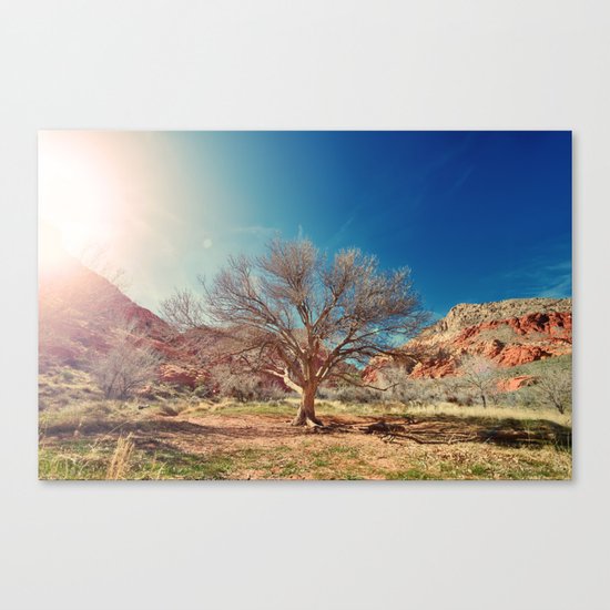 Sun desert tree Canvas Print