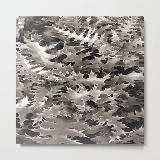 Cineraria Metal Print