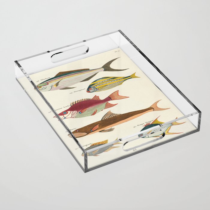 fish Acrylic Tray