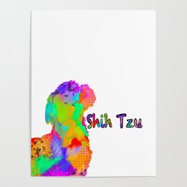 Shih Tzu Poster