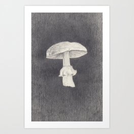 Things could change quickly Horse mushroom Art Print