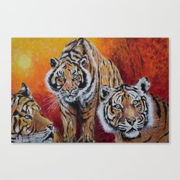 Three Lucky Tigers Canvas Print