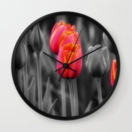 Red Tulips - color splash photography  Wall Clock