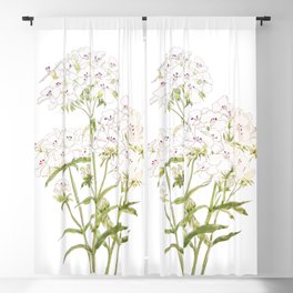 white sweet William  ink and watercolor painting Blackout Curtain