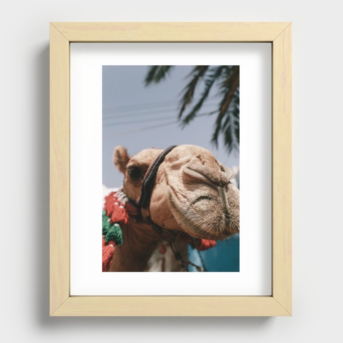 Camel in Colorful Nubian Village in Aswan Egypt, Africa Art Print Recessed Framed Print