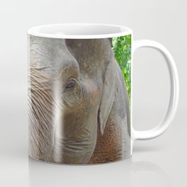 happy elephant in a sanctuary in Thailand Coffee Mug