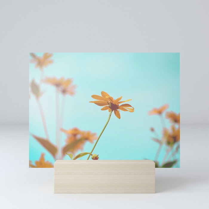 Vintage Flowers & Sky Mini Art Print