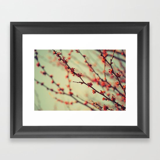 When spring was autumn... Framed Art Print