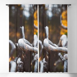 Pine Tree Art Blackout Curtain