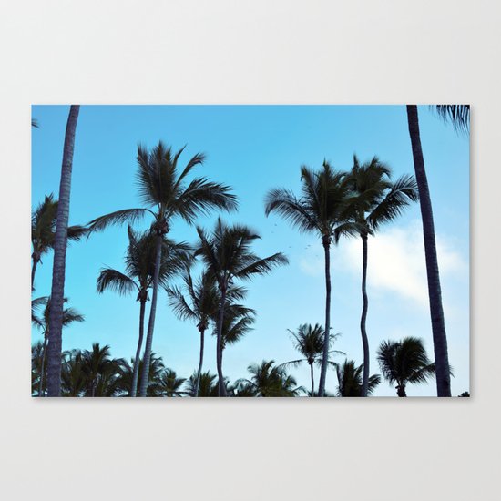 Coconut trees | Praia do Espelho | Brazil Canvas Print