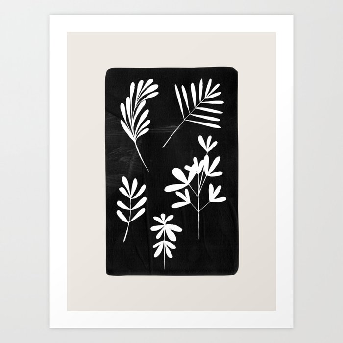 Plant Fossils Line Drawing Black Illustration Paper Collage Night Sky ...