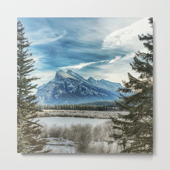 Natural Beauty Metal Print