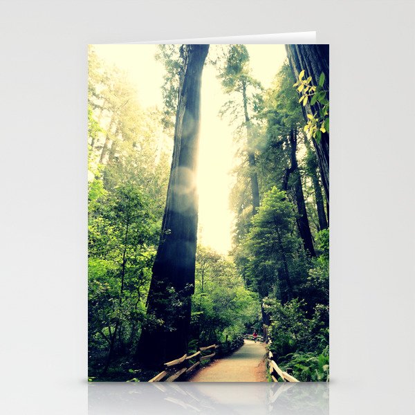 Muir Woods Path 2 Stationery Cards