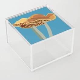 CYANESCENS Wavy Cap Mushroom Acrylic Box