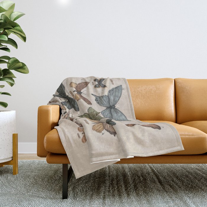 Butterflies and Moth Specimens Throw Blanket