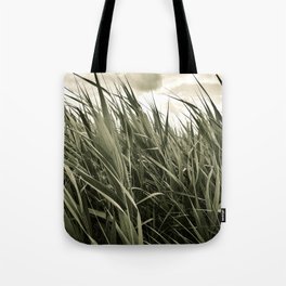 Warm vintage cattail field Tote Bag