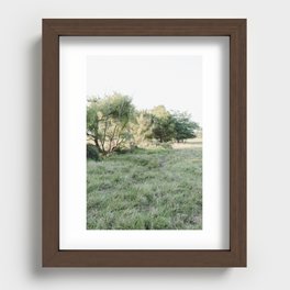 Summer Pasture Recessed Framed Print