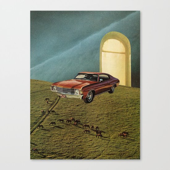 doors Canvas Print