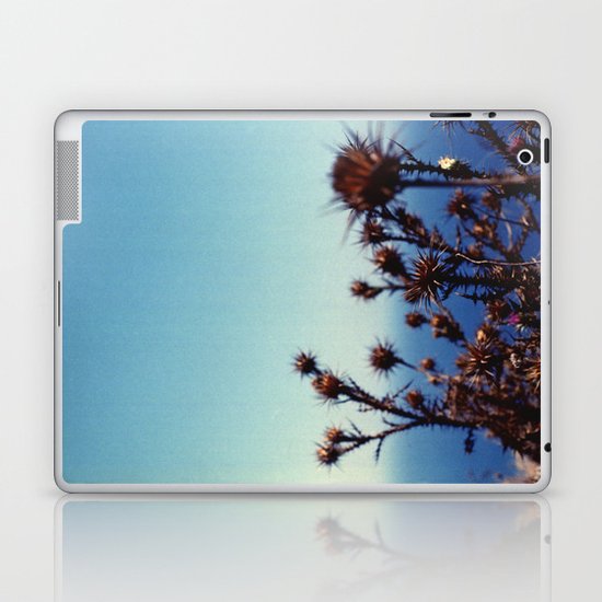 Sun-Bleached Blossom Laptop & iPad Skin