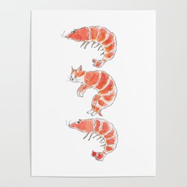 ShrimpCat Poster