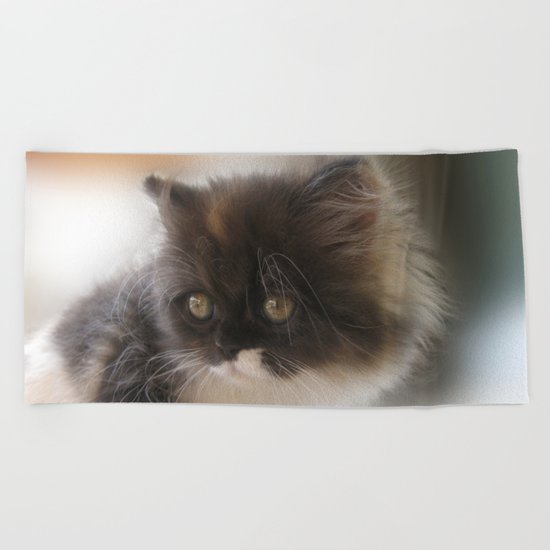 Nano Baby Kitten Beach Towel
