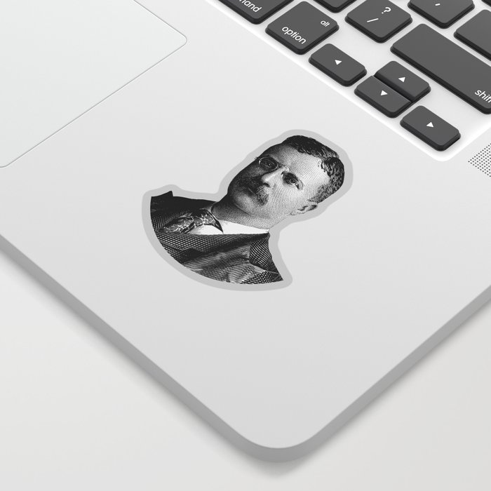 Young Theodore Roosevelt Graphic Sticker