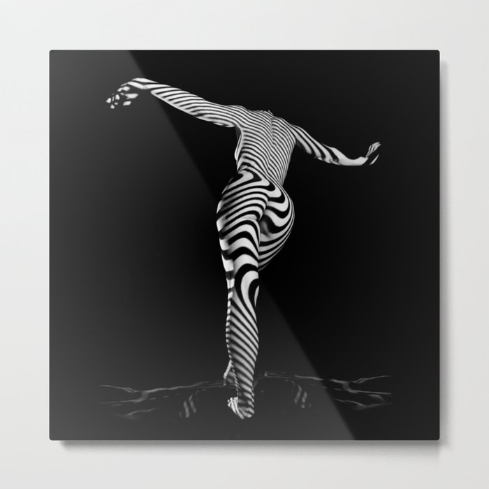 0489s-MM BW Zebra Striped Art Nude Figure Curves Metal Print