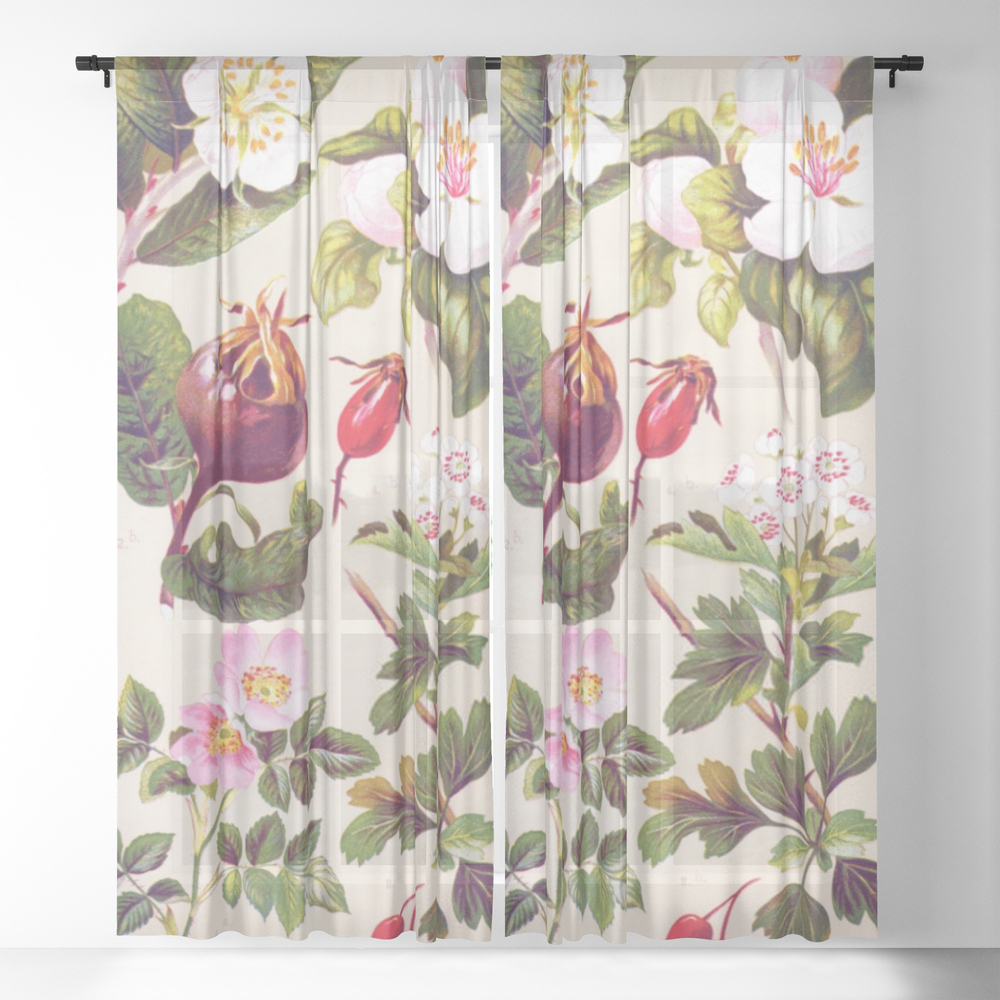 Antique Illustration Of A Medicinal And Herbal Plants Sheer Window Curtains by de-corum