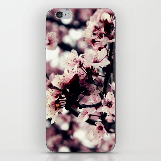 Cherry blossom iPhone & iPod Skin