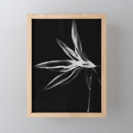 Delicate Flower Photogram Framed Mini Art Print