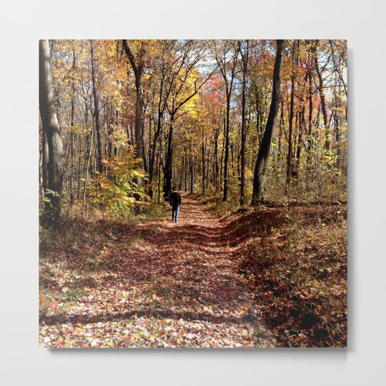 Autumn Walk Metal Print