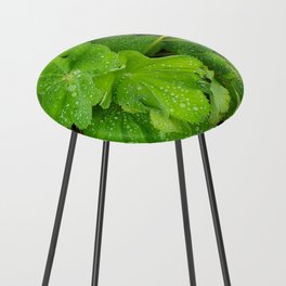 Dew Drops On The Green Leaves Counter Stool