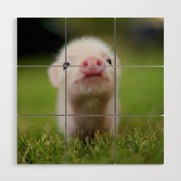 Little Pig Wood Wall Art