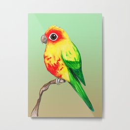 Cute sun conure Metal Print | Sunparakeet, Conureparakeet, Green, Parakeet, Cute, Sunconure, Drawing, Branch, Wildbird, Orange 