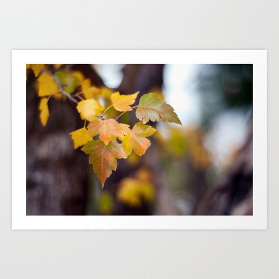 Autumn Yellow Art Print
