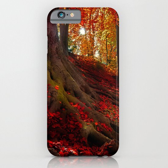 Autumn light iPhone & iPod Case