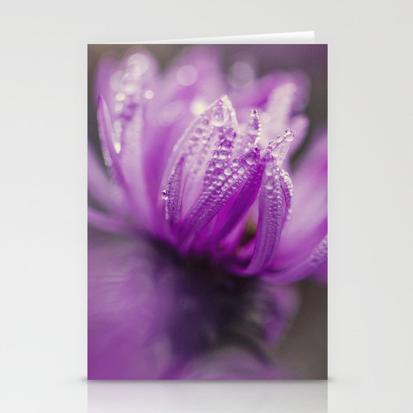 aster and dew Stationery Cards