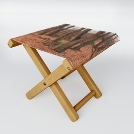 woods Folding Stool