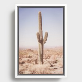 Desert Cactus Framed Canvas