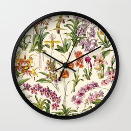Adolphe Millot - Orchids - French vintage botanical illustration Wall Clock