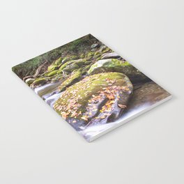 Great Smoky Mountains stream in early autumn Notebook
