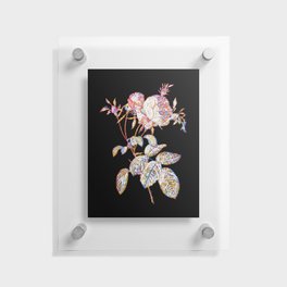 Floral Pink Cabbage Rose de Mai Mosaic on Black Floating Acrylic Print